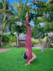 Quần Ống Loe Nữ LM25N01F307