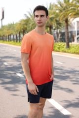 Áo T-shirt Nam Ombre LV25S04M224