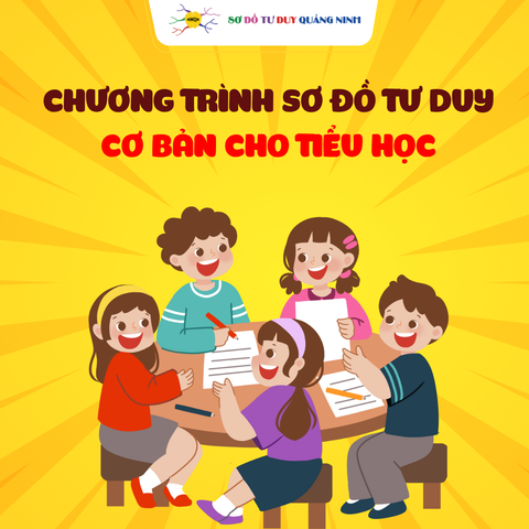  Chương trình sơ đồ tư duy cơ bản cho tiểu học 