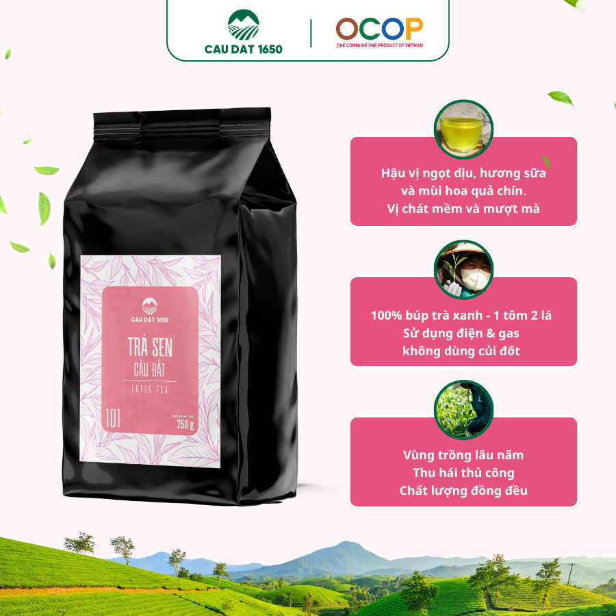 [Chuyên Dùng Cho Pha Chế] Trà Sen Cầu Đất 101 Túi 250g