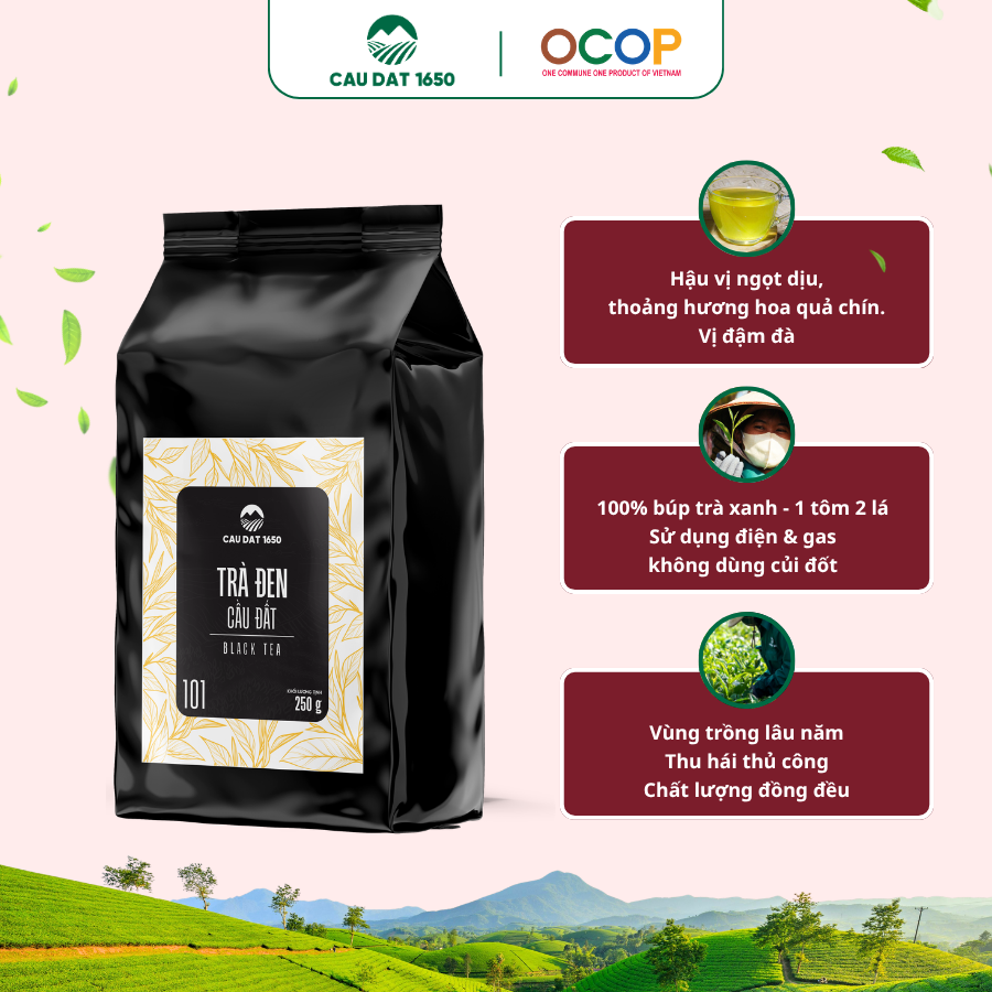 [Chuyên Dùng Cho Pha Chế] Trà Đen Cầu Đất Túi 250g