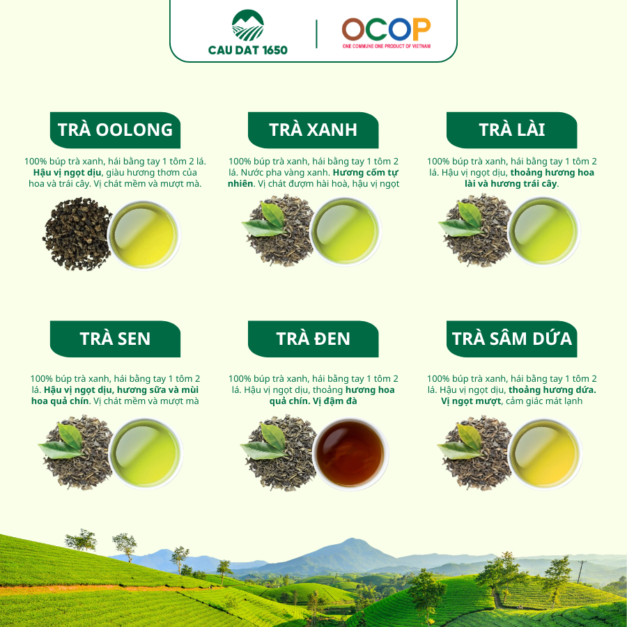 [Chuyên Dùng Cho Pha Chế] Trà Xanh Cầu Đất Túi 250g