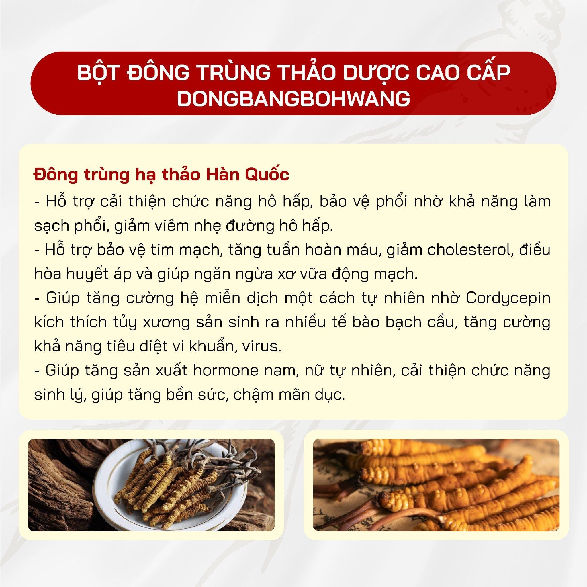  Bột Đông Trùng Thảo Dược KHealth DONGBANGBOHWANG ( 2g x 60 stick ) 