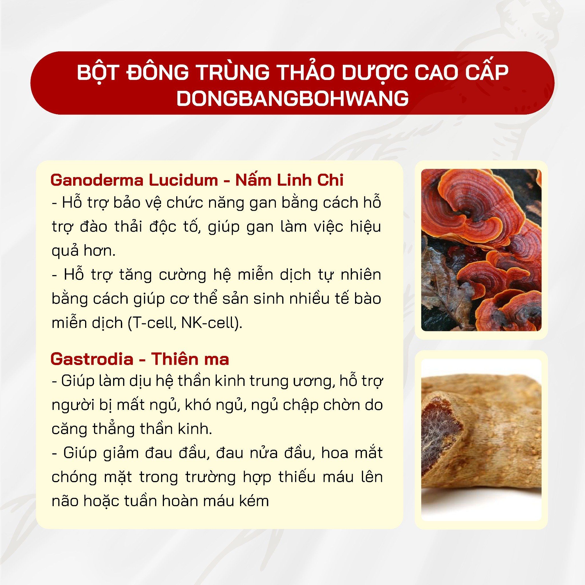  Bột Đông Trùng Thảo Dược KHealth DONGBANGBOHWANG ( 2g x 60 stick ) 