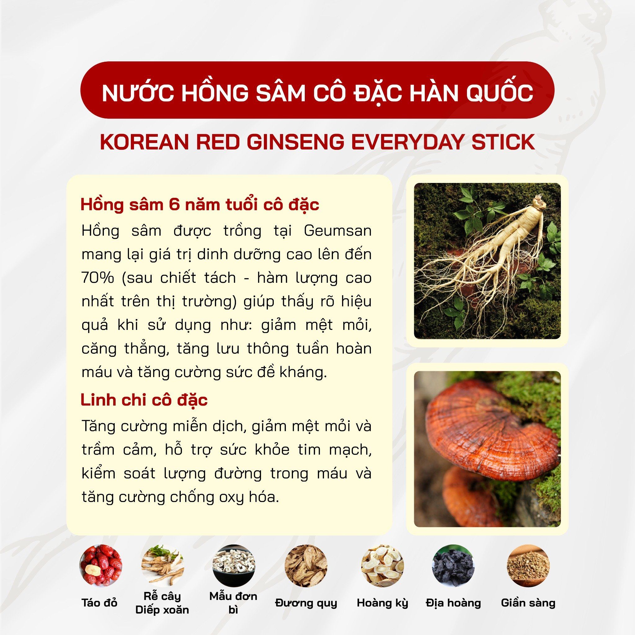  Nước Hồng Sâm Cô Đặc Hàn Quốc (30 gói) 