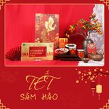  Tết Sâm Hảo - Hộp Quà Tết 2026 
