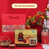  Trà Linh Chi Buleebang 