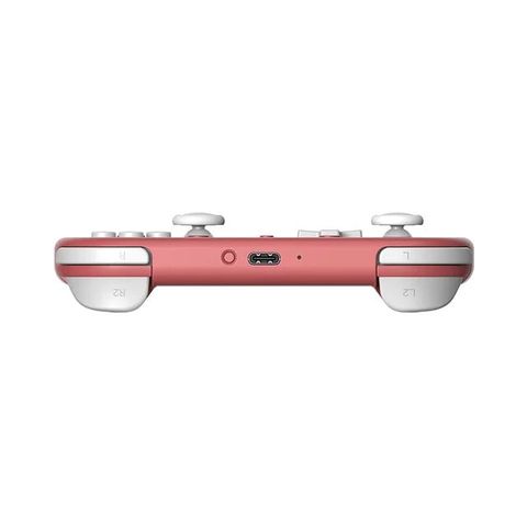  Tay cầm 8Bitdo Lite 2 cho Nintendo Switch 