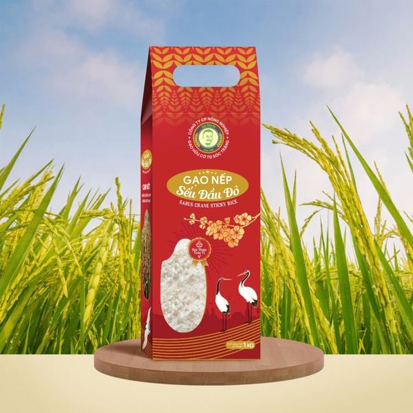  GẠO NẾP - SẾU ĐẦU ĐỎ/RED-HEADED CRANE GLUTINOUS RICE - GẠO NẾP TRUYỀN THỐNG ĐẶC SẢN SÓC ĐỒNG BẰNG SÔNG CỬU LONG 1KG 