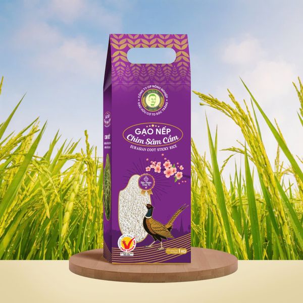  GẠO NẾP - CHIM SÂM CẦM/EURASIAN COOT GLUTINOUS RICE - GẠO NẾP TRUYỀN THỐNG ĐẶC SẢN SÓC ĐỒNG BẰNG SÔNG CỬU LONG 1KG 
