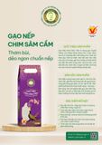  GẠO NẾP - CHIM SÂM CẦM/EURASIAN COOT GLUTINOUS RICE - GẠO NẾP TRUYỀN THỐNG ĐẶC SẢN SÓC ĐỒNG BẰNG SÔNG CỬU LONG 1KG 
