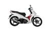  Honda Future 125 FI Phiên Bản Cao Cấp 2026 