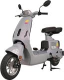  Xe Điện Tailg Gr55 
