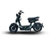  Xe Điện Tailg Gx30 