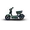  Xe Điện Tailg Gx30 