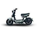  Xe Điện Tailg Gx30 