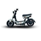  Xe Điện Tailg Gx30 