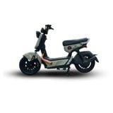  Xe Điện Tailg Gx30 
