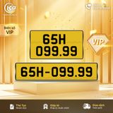 65H-099.99