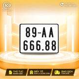 89AA-666.88