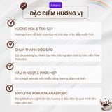  AMERO - Cà phê đặc sản 100% Fine Robusta Búp Tím 
