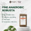  Fine Anaerobic Robusta - Cà phê nhân đặc sản 