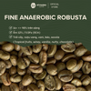  Fine Anaerobic Robusta - Cà phê nhân đặc sản 