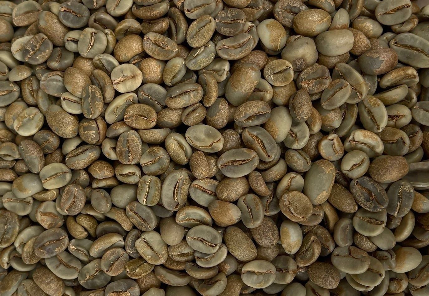  Specialty Anaerobic Arabica 