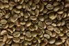  Fine Natural Robusta 