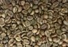  Clean Robusta 