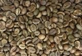  Cleaned Robusta - Cà phê nhân 