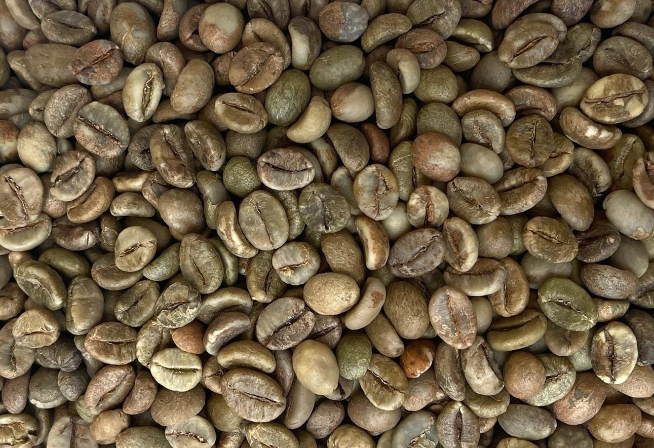 Robusta chế biến khô sạch - Unwashed Robusta clean S18 – HỒ PHƯỢNG COFFEE