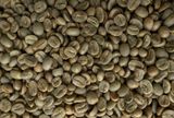  Specialty Honey Arabica - Cà phê nhân đặc sản 