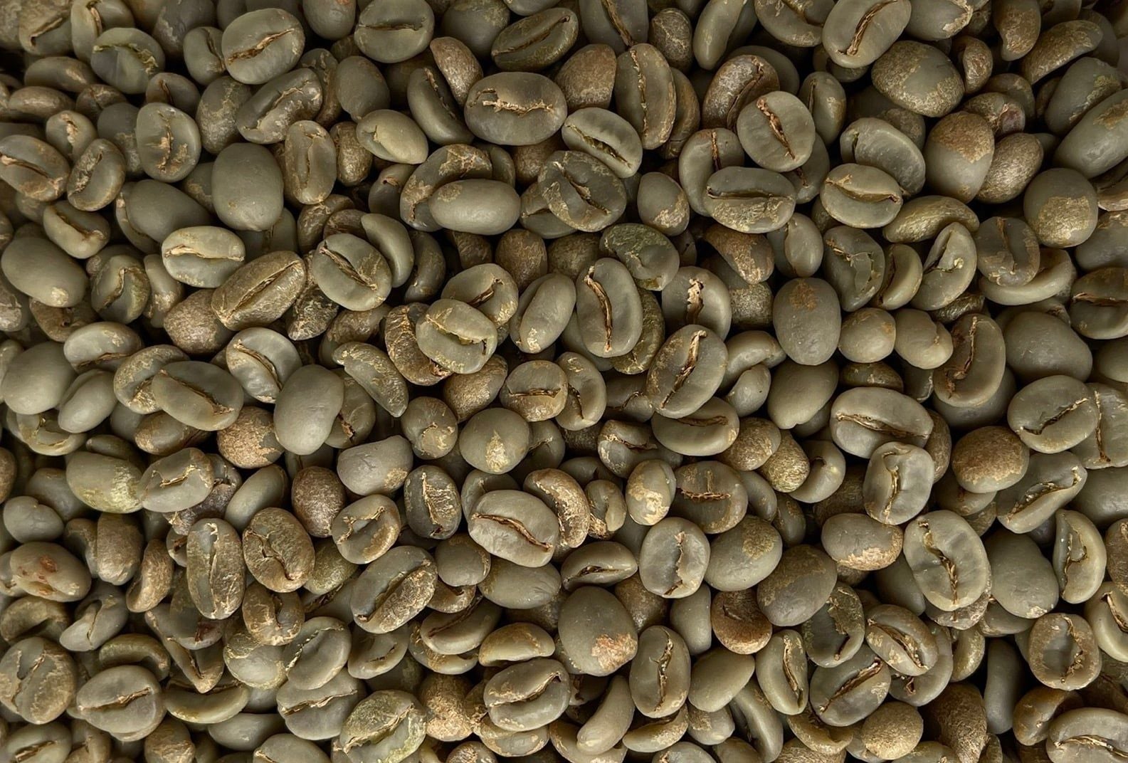 Specialty Honey Arabica 
