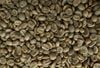  Specialty Honey Arabica 
