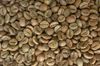  Honey Robusta 
