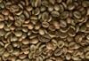  Fine Honey Robusta 