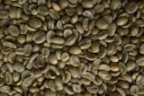  Specialty Natural Arabica - Cà phê nhân đặc sản 