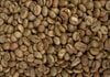  Fine Anaerobic Robusta 