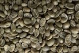  Catimor - Specialty Washed Arabica - Cà phê nhân đặc sản 