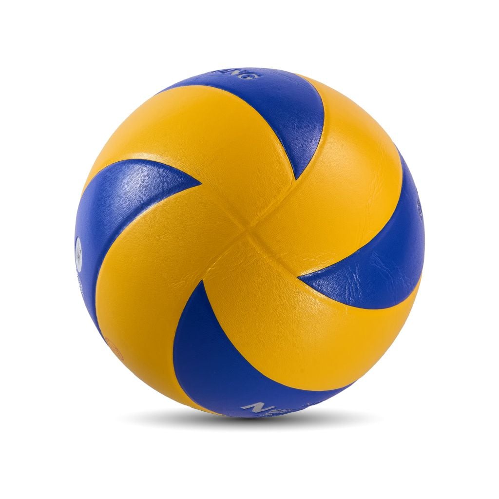 Bóng chuyền Dragon Master DG210