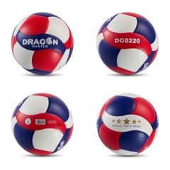 Bóng chuyền Dragon Master DG8220