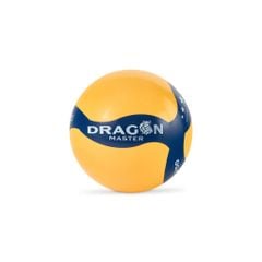 Bóng chuyền hơi Dragon Master DGA Printing
