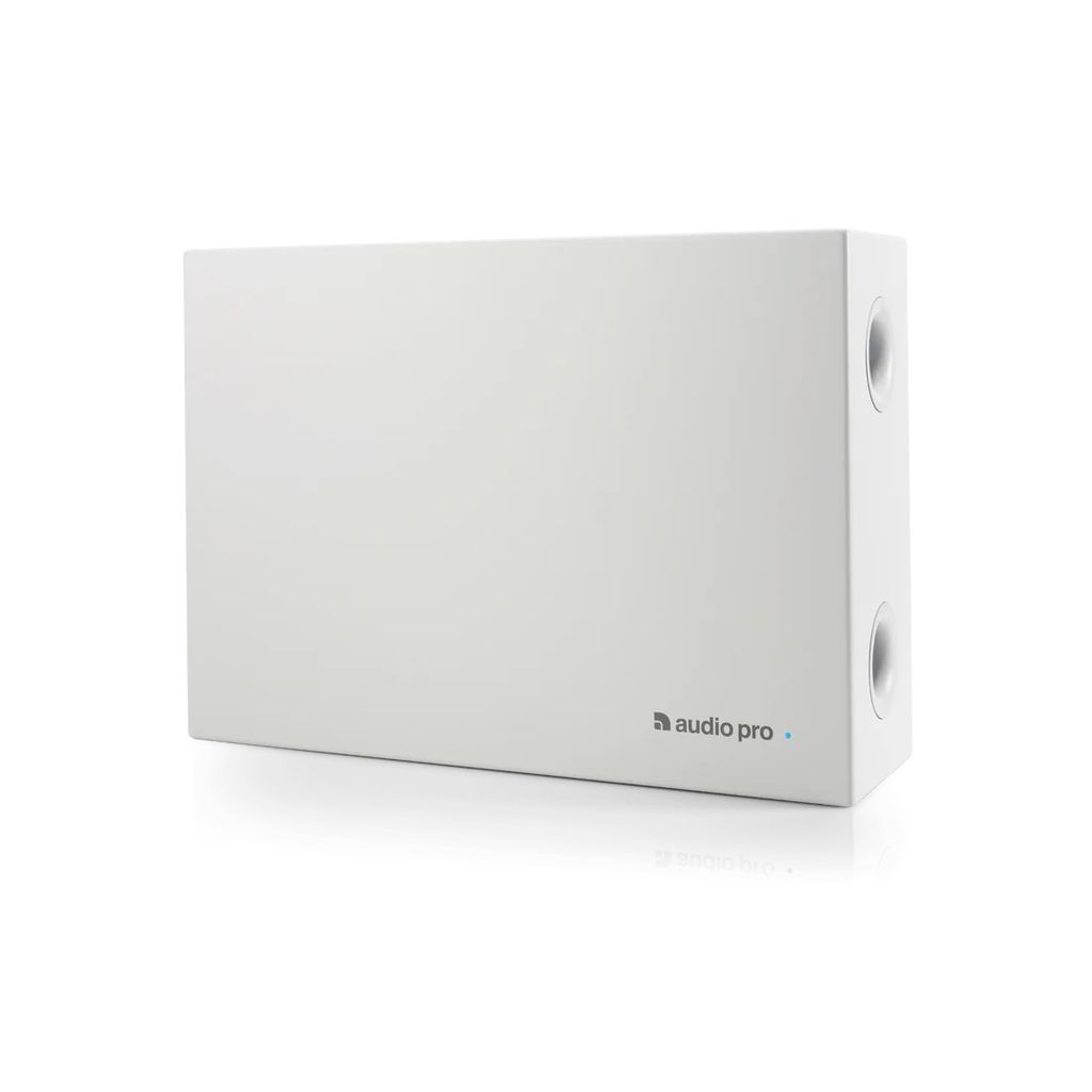 Loa Subwoofer Audio Pro Business SUB-3