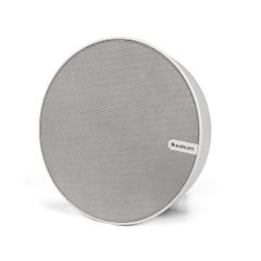 Loa Audio Pro Business SPW-5 (Wall Mount)