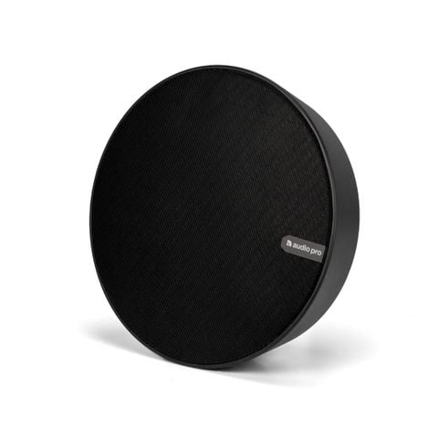 Loa Audio Pro Business SPW-5 (Wall Mount)