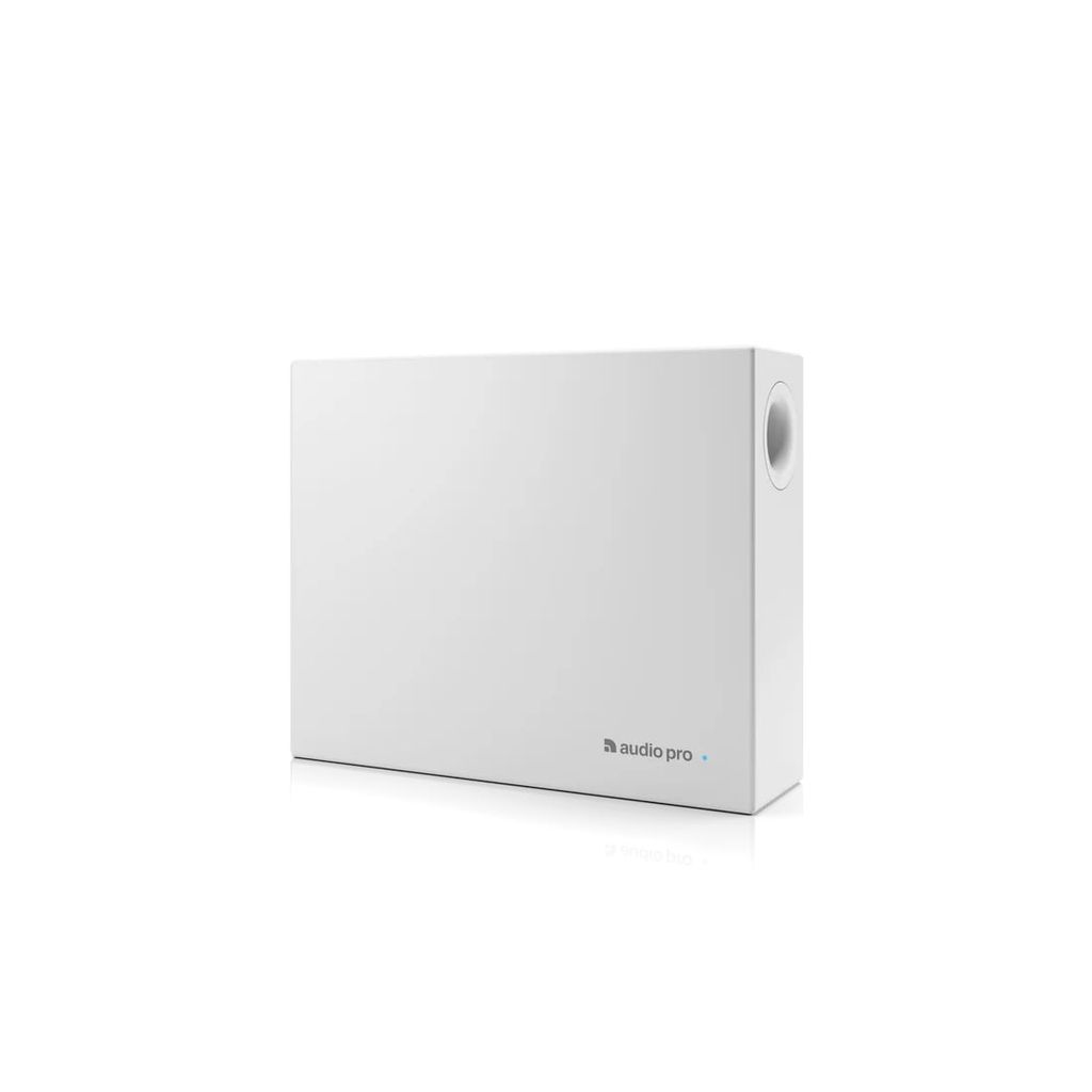 Loa Subwoofer Audio Pro Business SUB-1