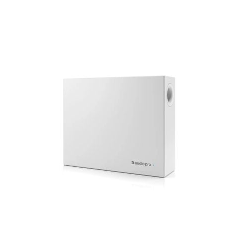 Loa Subwoofer Audio Pro Business SUB-1