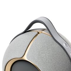 Loa Devialet Mania