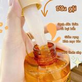  ( Mini )Dầu Gội Loreal Tinh Dầu Phục Hồi giúp Mềm Mượt, Giảm Chẻ Ngọn 100ml 